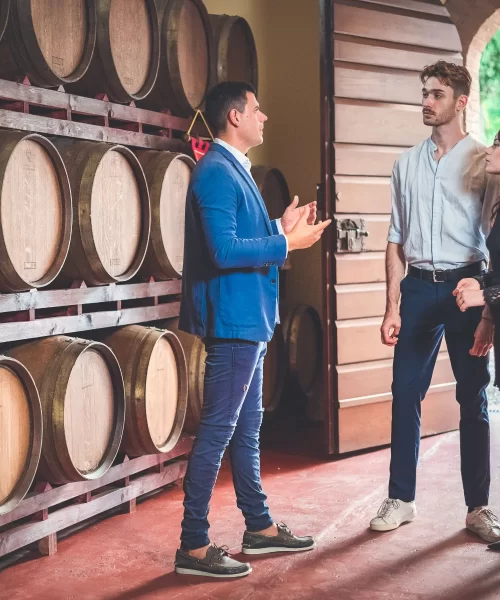 Wine tour & Wine Tasting