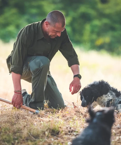 Truffle Foraging